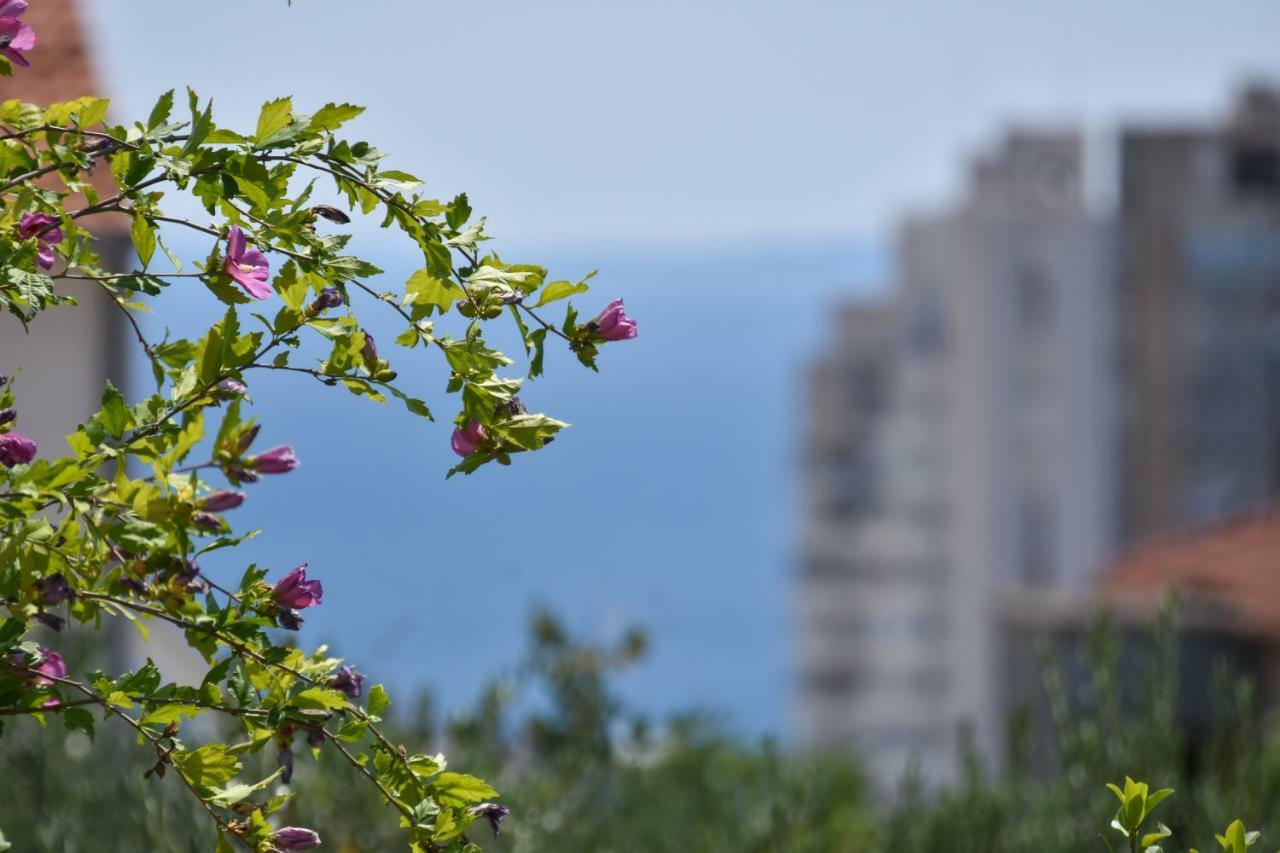 Apartment Neyra Split Buitenkant foto